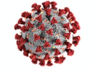 Module: le cas du coronavirus